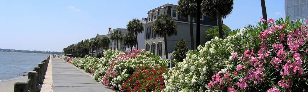 free tours by foot charleston