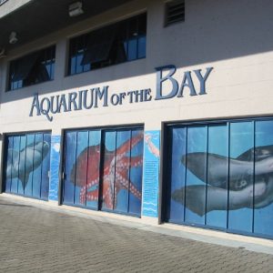 The Aquarium of the Bay. Image Source: Wikimedia user Binksternet on September 15th, 2012.