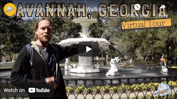 Virtual Savannah Tours