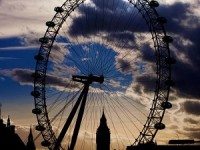 London Eye Shadow