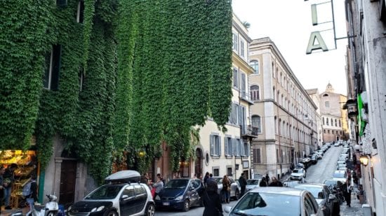 Hanging Ivy in Monti, Rome