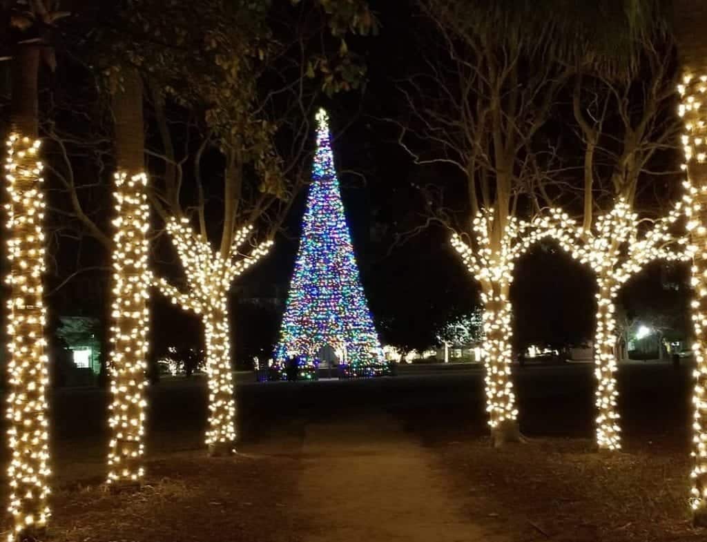 Charleston Christmas Tree