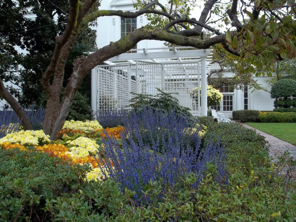 White House Gardens