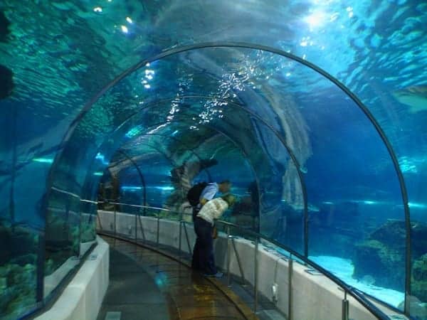 Aquarium of Barcelona