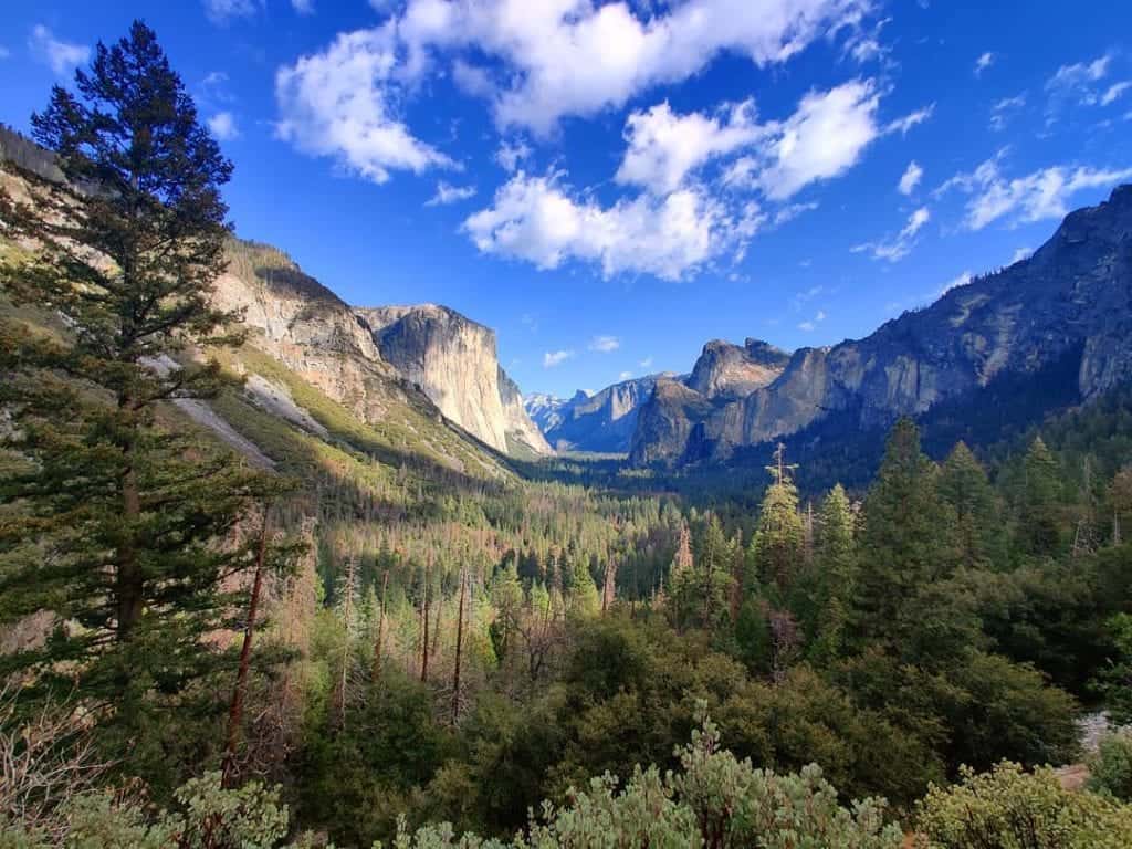 Extranomical Tours Yosemite Park