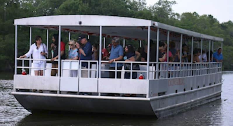 A swamp boat in New Orleans