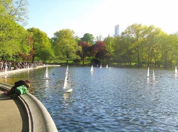 Central Park for Kids