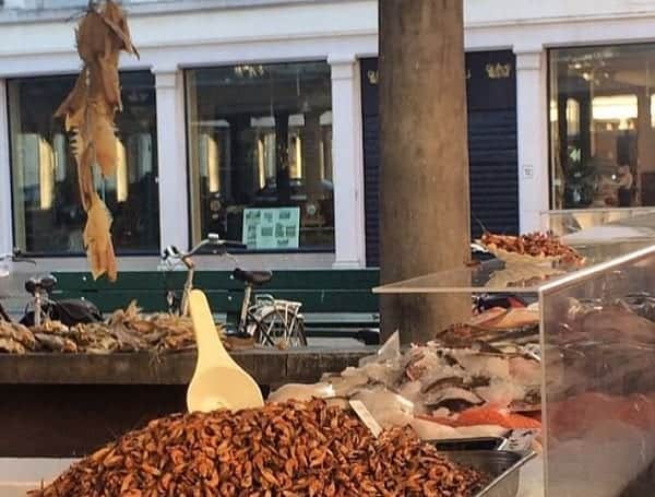 Bruges Fish Market