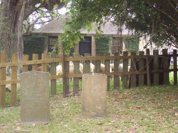 Cemetery of enslaved persons at Middleton Plantation