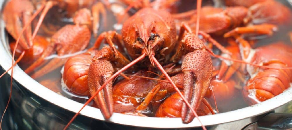 When Is Crawfish Season In New Orleans