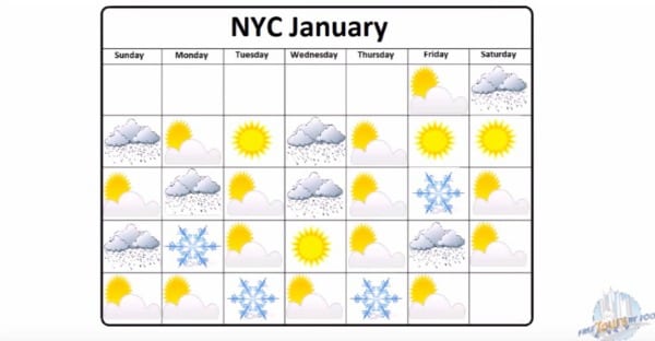 How Much Snow in NYC in January