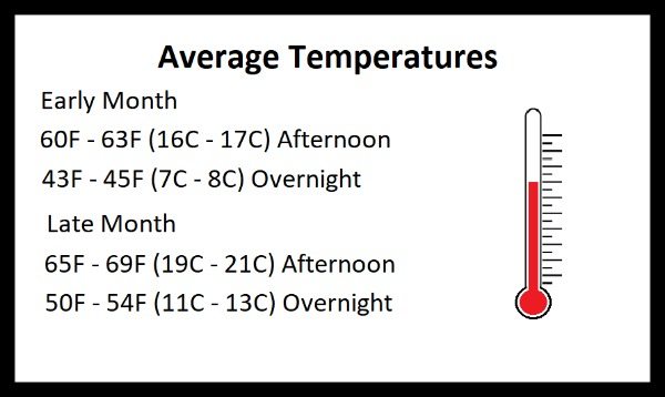 Average Temperatures New Orleans February