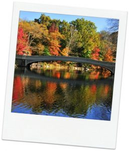 Central-Park fall-season