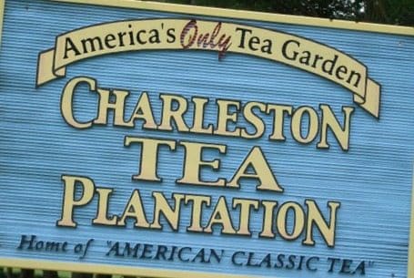 Charleston Tea Plantation
