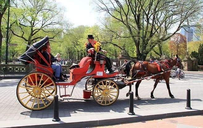 Carriage Ride in Central Park