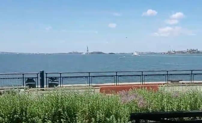 view of Statue of Liberty from Battery Park