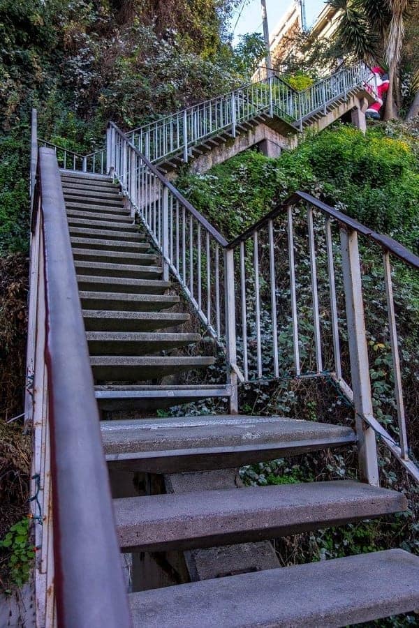 stairs to coit tower