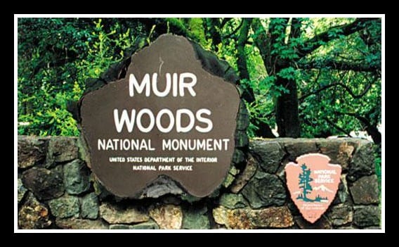Muir Woods Tours