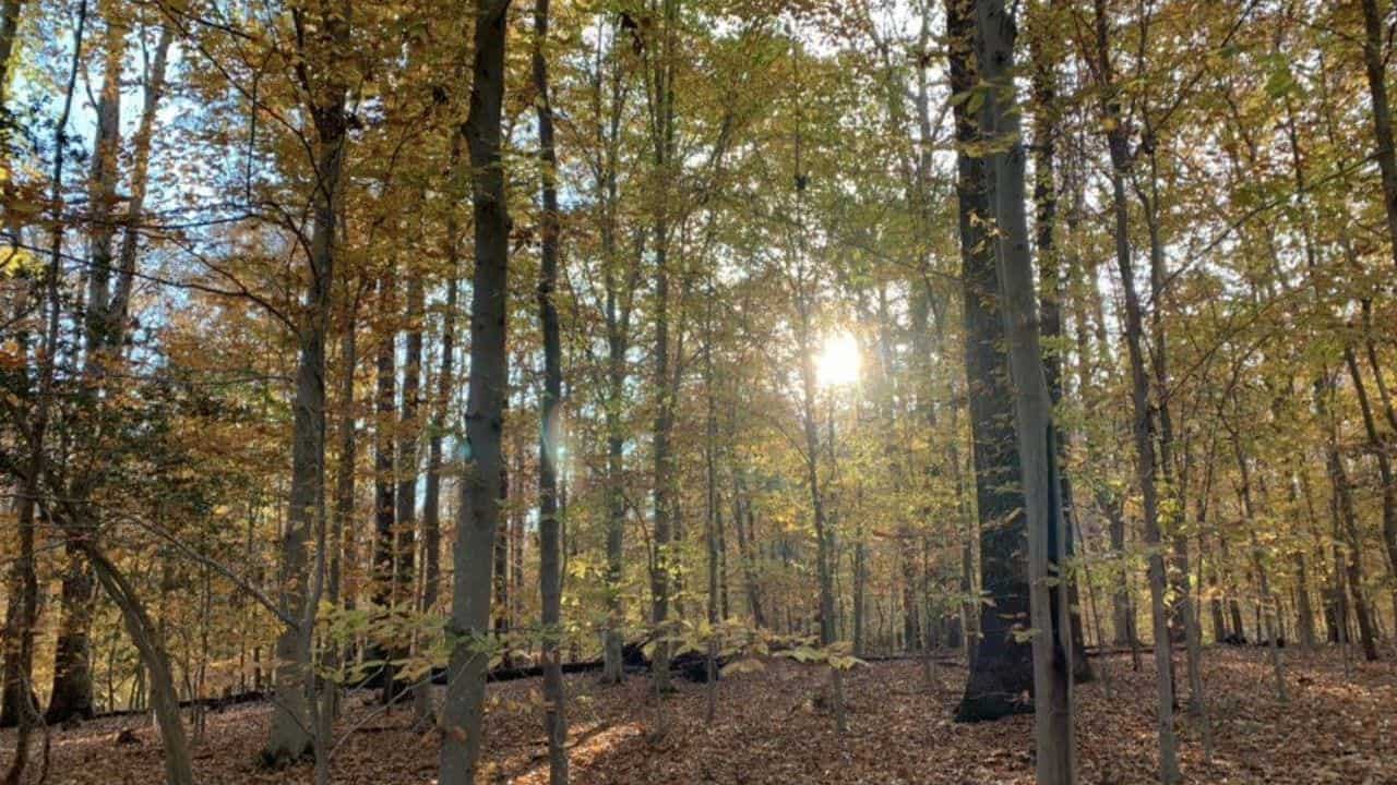 7 Best Places to Hike In Washington DC and Nearby