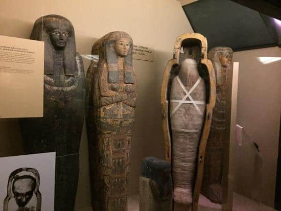 Ancient Egypt Exhibit at Chicago Field Museum