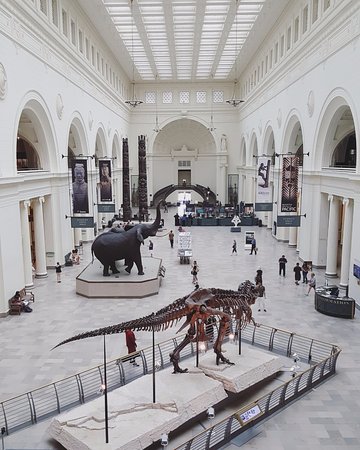 Chicago Field Museum Entrance Hall