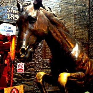 London Camden Market horses