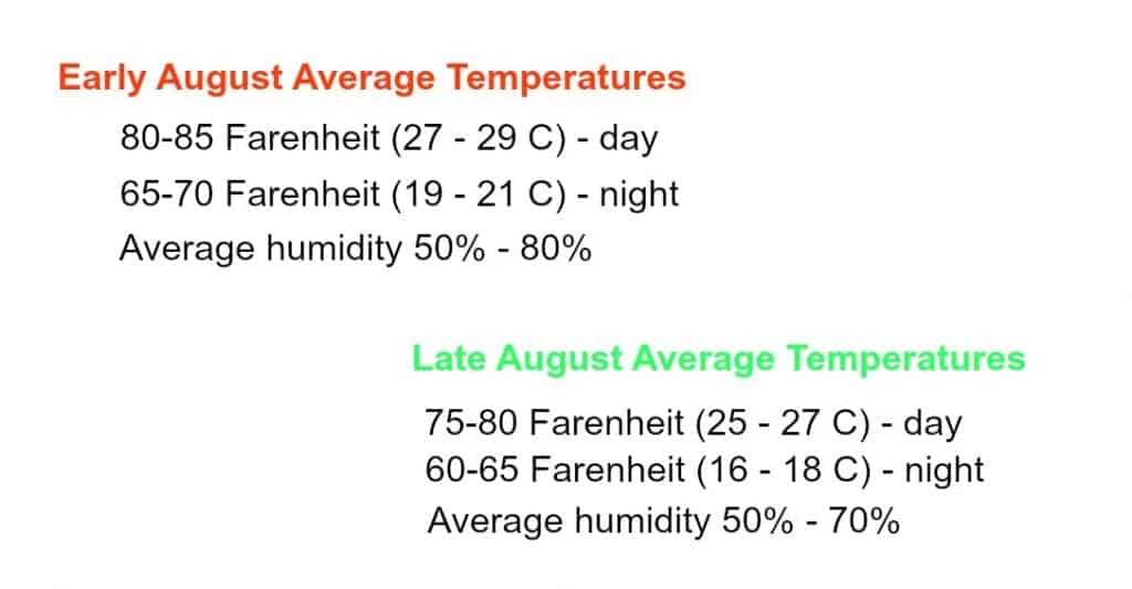 Average Temperatures NYC August