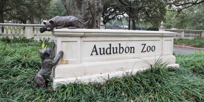 Audubon Zoo sign. Image Source: Wikimedia user The Erica Chang on February 8th, 2012.