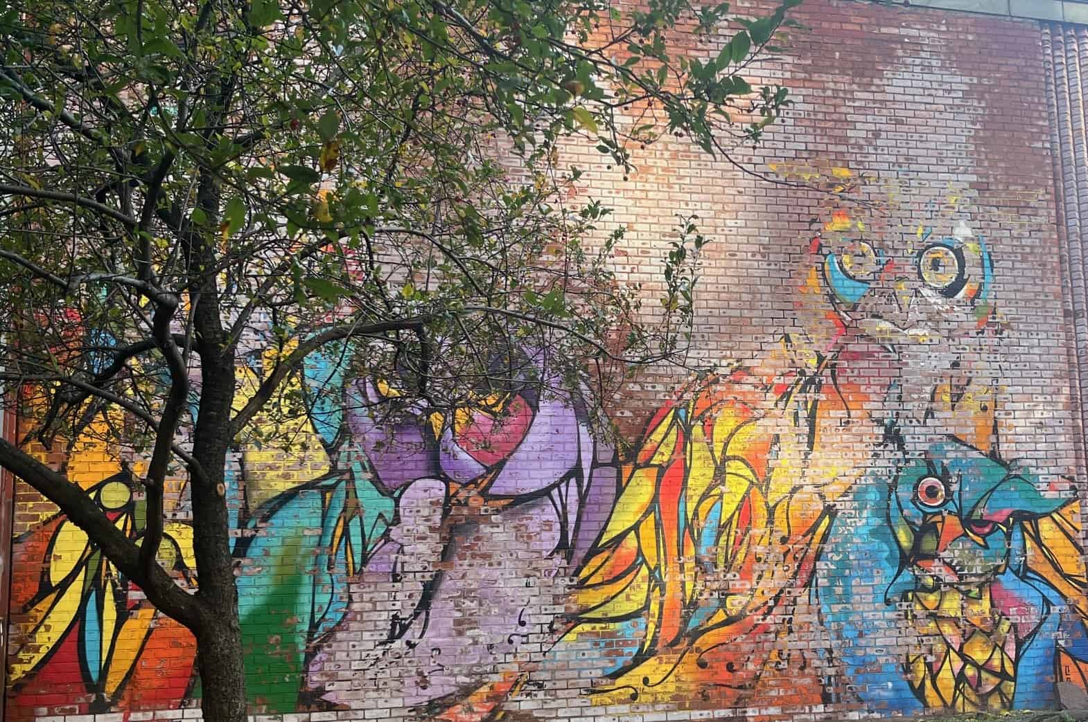 Owl Mural in DUMBO