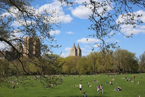 Sheep Meadow in Central Park
