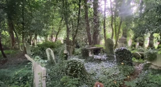 Old overgrown section of Highgate Cemetery.