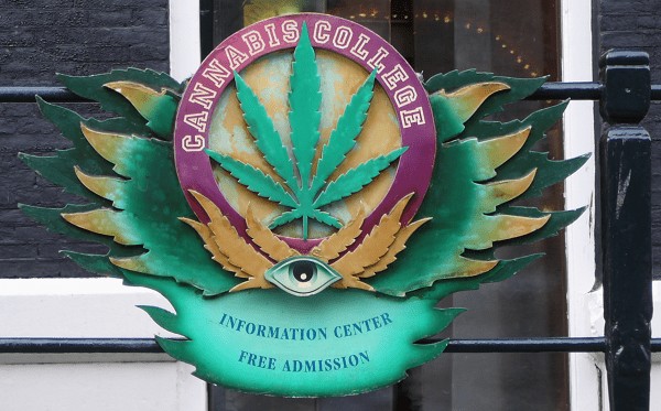 Cannabis College