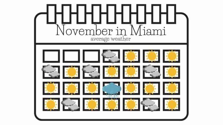 Miami in November: Chill or Still Warm? Florida miami weather in november