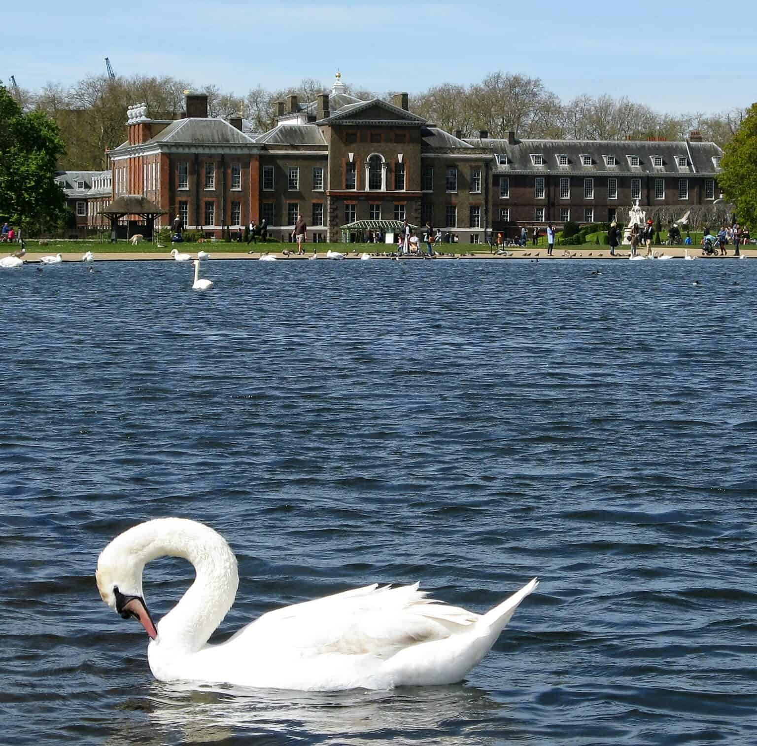 Top 10 Things to Do in Kensington