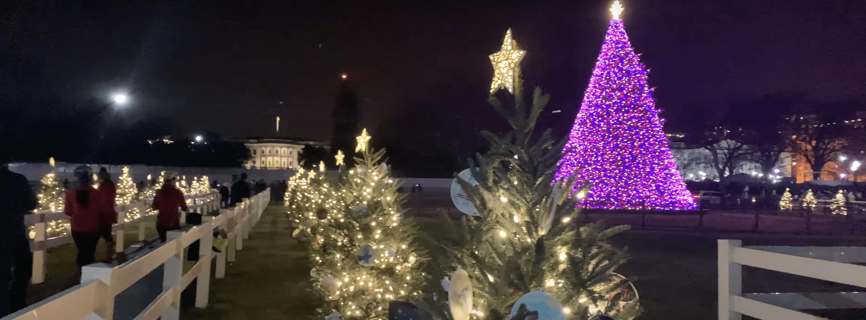 Visit the National Christmas Tree and Lighting Ceremony