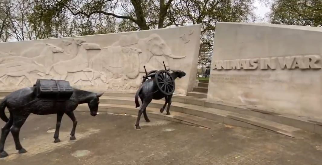 Animals in War Memorial London