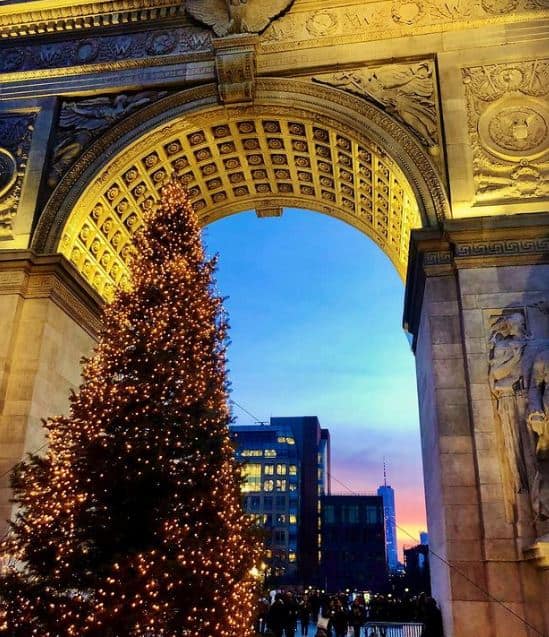 Washington Square Park Christmas Tree