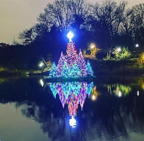 Central Park Christmas Tree