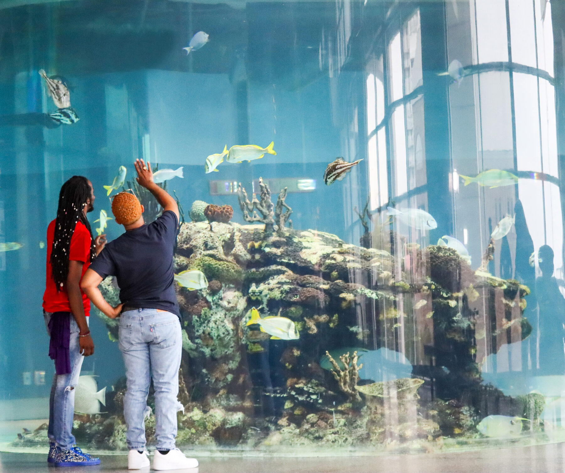 Visit the South Carolina Aquarium