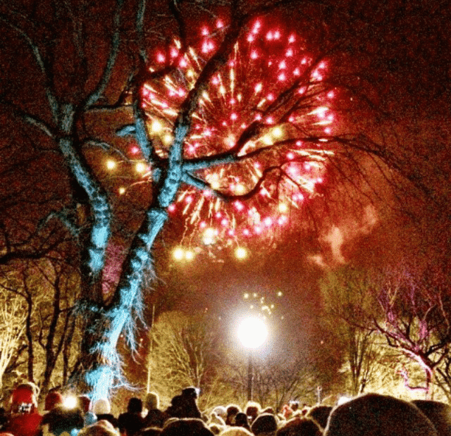 New Years Eve Central Park