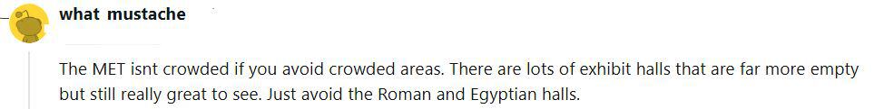 A Reddit user says that if you go to the Met Museum on a rainy day you can avoid crowds by going to exhibits other than the Roman and Egyptian halls
