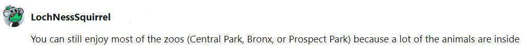 a Reddit user suggesting that going to a zoo on a rainy day in NYC is good because there are indoor exhibits.