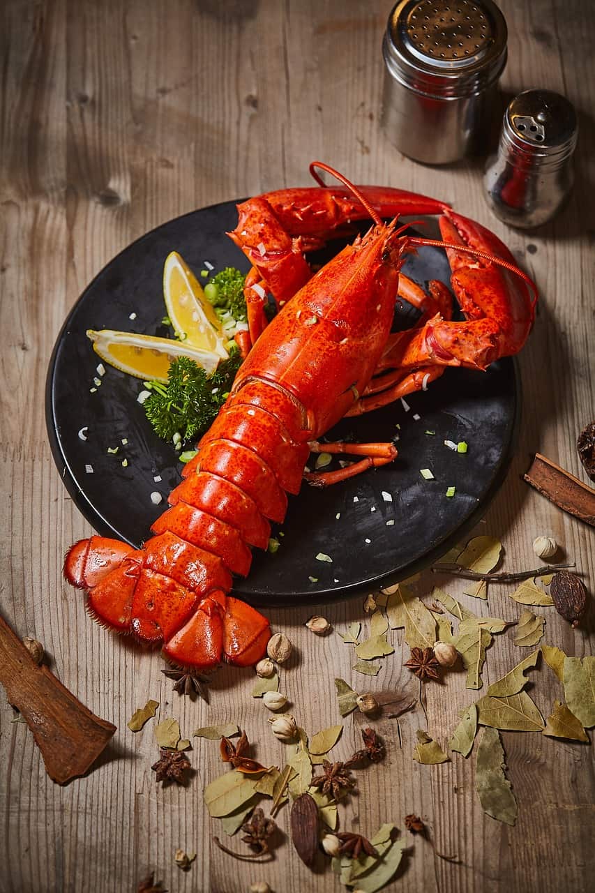 Fresh lobster is just one of the dishes you can expect to find on the menu at many Back Bay restaurants. Image source: Pixabay user luow.