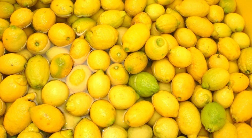 A batch of lemons for Limoncello. Image source: Pixabay user Richardthelion.