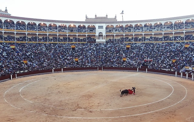 A bullfight in Madrid. Image source: Pixabay user Leeroy Agency.