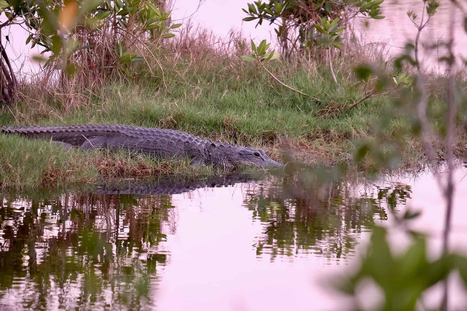 everglades national park tours from fort lauderdale