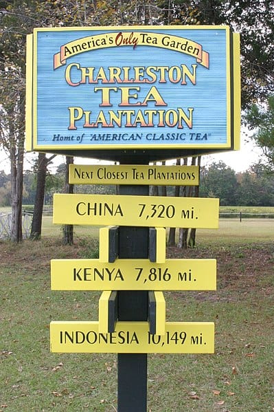 The Charleston Tea Plantation. Image source: Wikimedua user Bruce Tuten under the Creative Commons Attribution 2.0 Generic license.