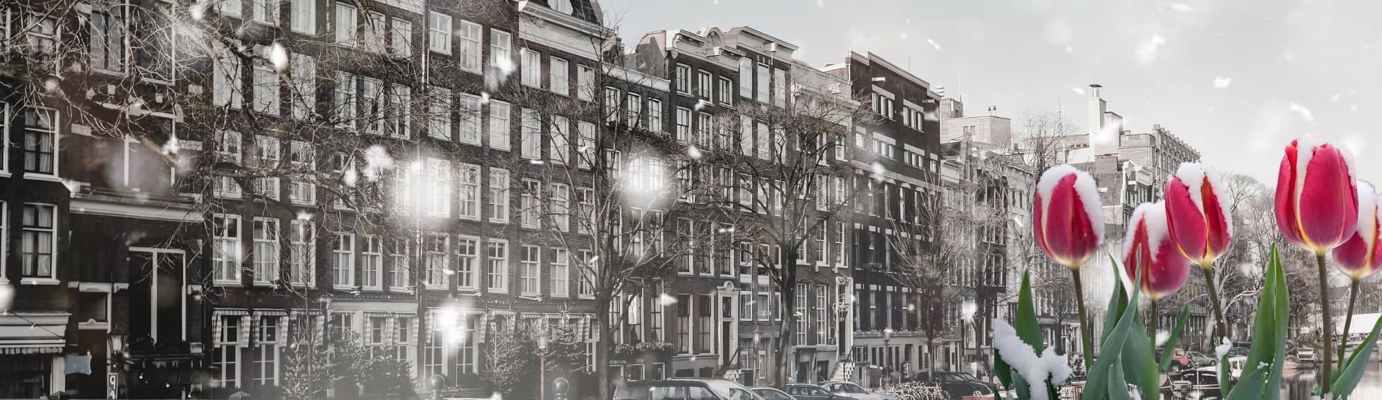 visiting amsterdam in the winter