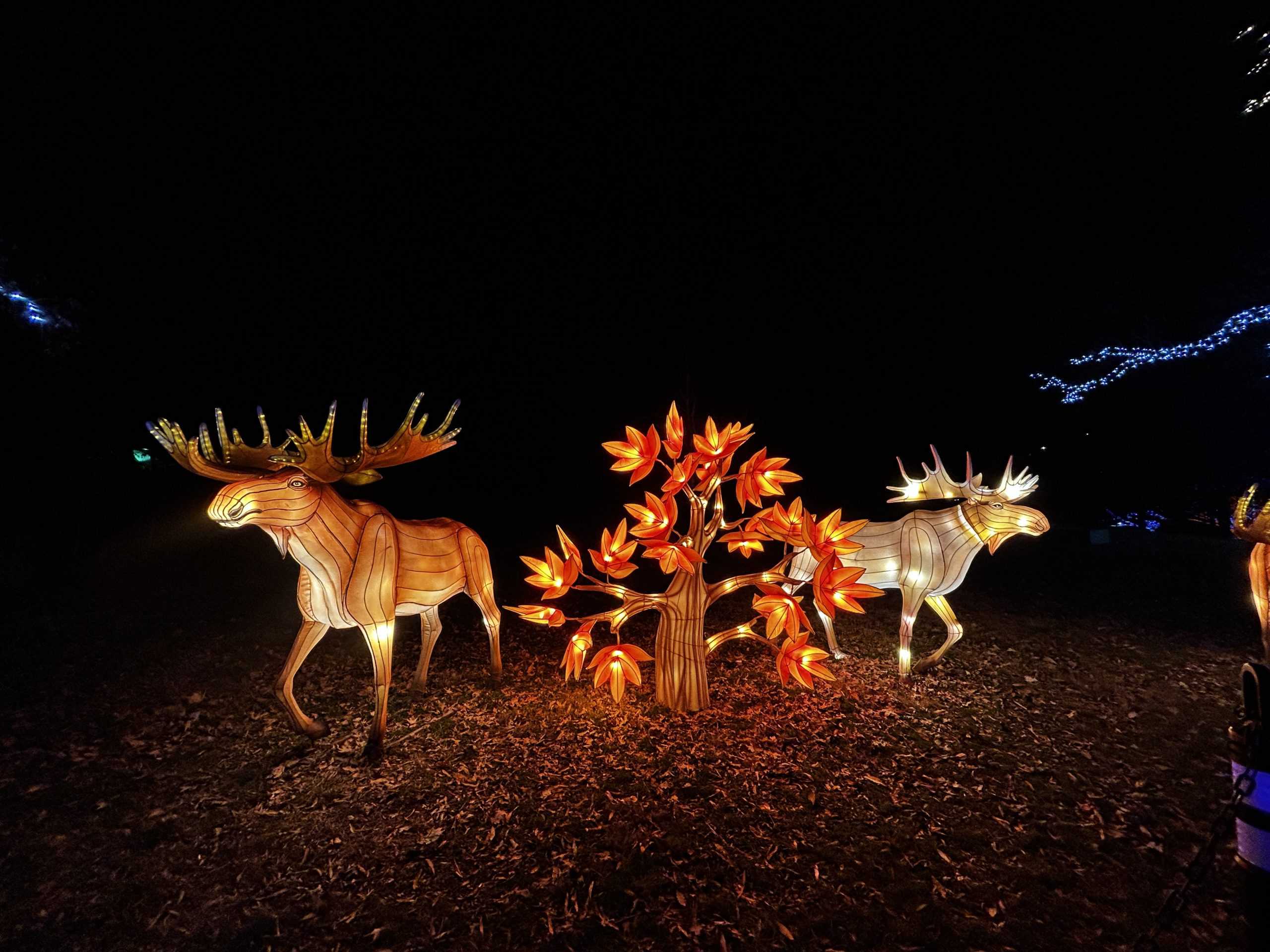 Smithsonian Zoolights Tickets and Visitor Information