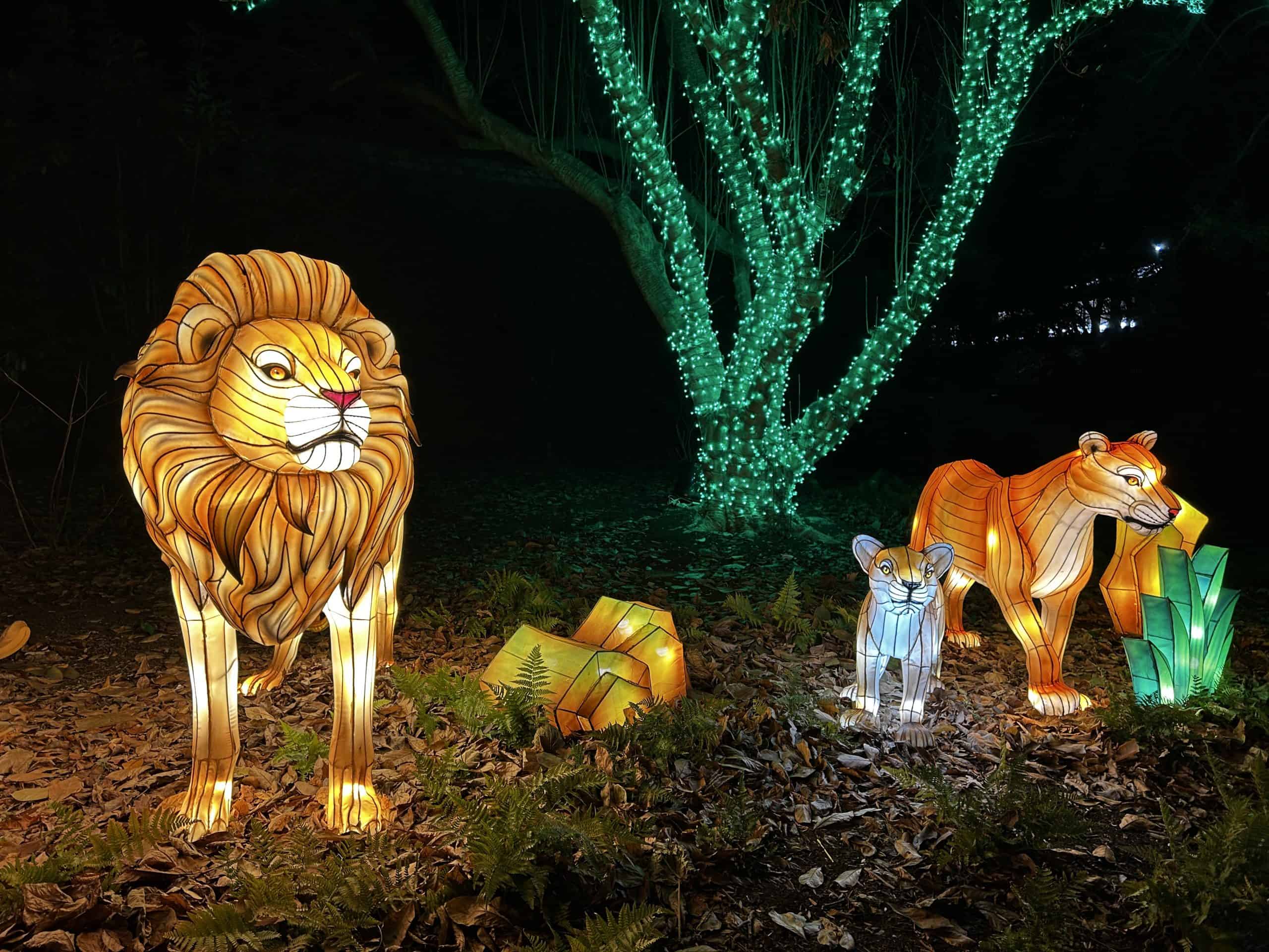 Smithsonian Zoolights Tickets and Visitor Information